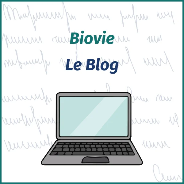 blog